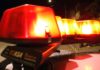 Homem é preso em flagrante por desmatar palmeiras de babaçu no Maranhão