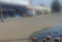 Esperantina Tocantins Voz do Bico