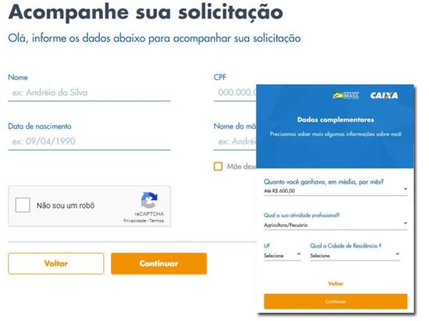 Você tem que inserir seus dados no site web da consulta Você tem que inserir seus dados no site web da consulta