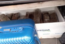 PRF apreende 26kg de maconha em bagageiro de ônibus na BR-135 em São Luís — Foto: Divulgação/Polícia Rodoviária Federal