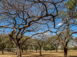 Inmet: calor acima da média e chuvas irregulares devem marcar outubro