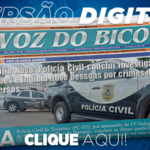 359_jornal_digital-2