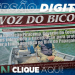 366_jornal_digital-2