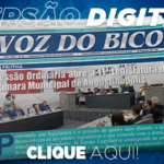 381_jornal_digital-2