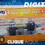 383_jornal_digital-2