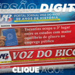 384_jornal_digital-2