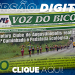 390_jornal_digital-2