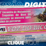 392_jornal_digital-2