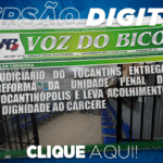 395_jornal_digital-2