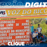 398_jornal_digital-2