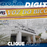 431_jornal_digital-2