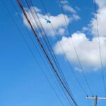 pipa-ou-papagaio-presos-a-fiacao-da-rede-eletrica (2)