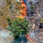 foco-incendio-queimada-floresta-serrado-tocantins