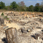 alunos-do-cmto-buriti-visita-tecnica-ao-monaf (2)