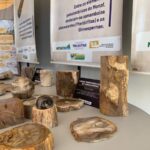 alunos-do-cmto-buriti-visita-tecnica-ao-monaf (4)