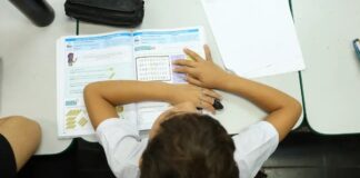 Censo Escolar: resultado preliminar está disponível no site do Inep